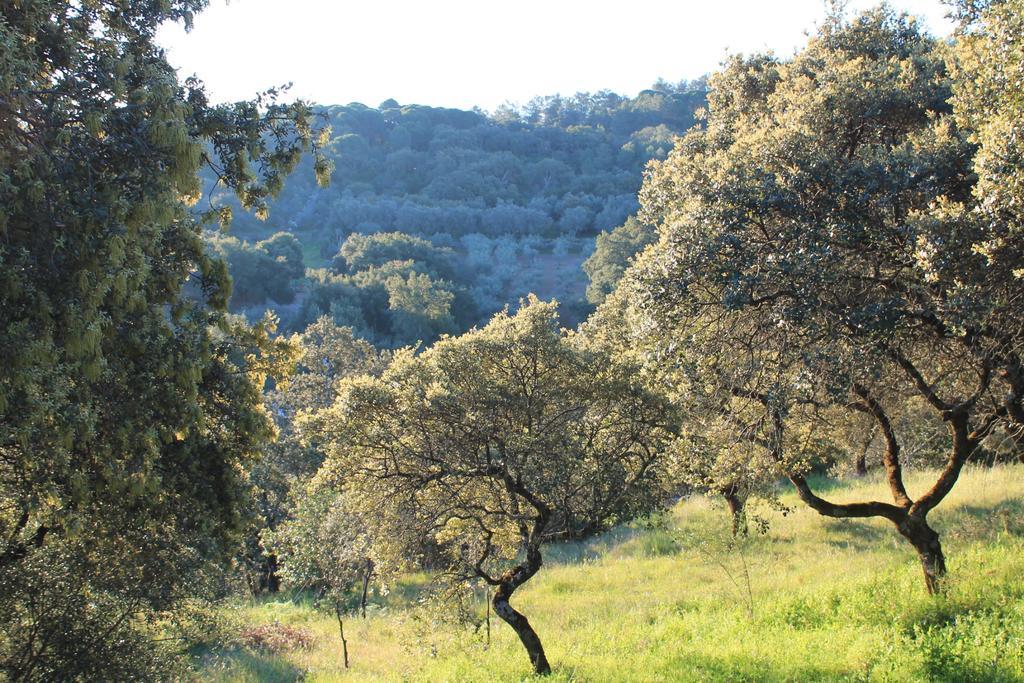 Cabana El Mirador Pedroso de Acim 외부 사진